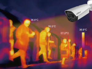 Комплекс измерения и регистрации температуры тела человека на базе тепловизора DH-TPC-BF5421P-T в комплекте с NVR-I+Monitor*