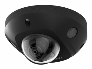 HikVision DS-2CD2543G2-IS(2.8mm)(BLACK)