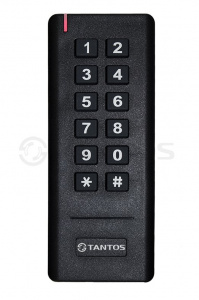 Кодонаборная панель TS-KBD-EM2 Plastic