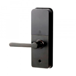 Умный замок DHI-ASL2101K-L