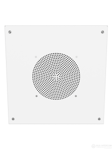 Кабинетный IP громкоговоритель RPA-1
