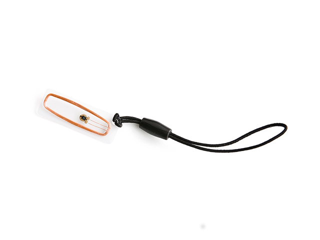 Ярлык прозрачный ПВХ пластик, 10x28, ICODE2	