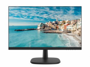 HikVision DS-D5022FN-C