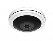 STC-IPM12140A/1 Estima  12-мегапиксельная вандалозащищенная IP-камера с объективом "рыбий глаз"